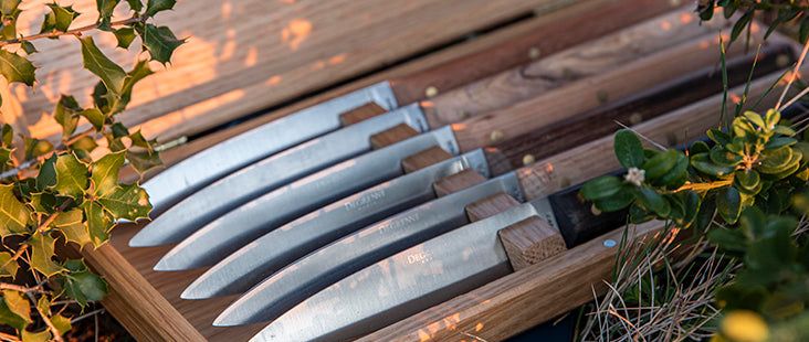 Collection Couteaux à steak