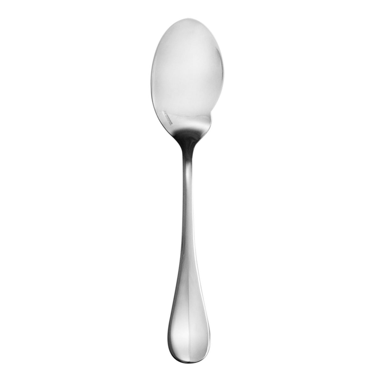 BLOIS MIRROR FINISH Gourmet sauce spoon, flat
