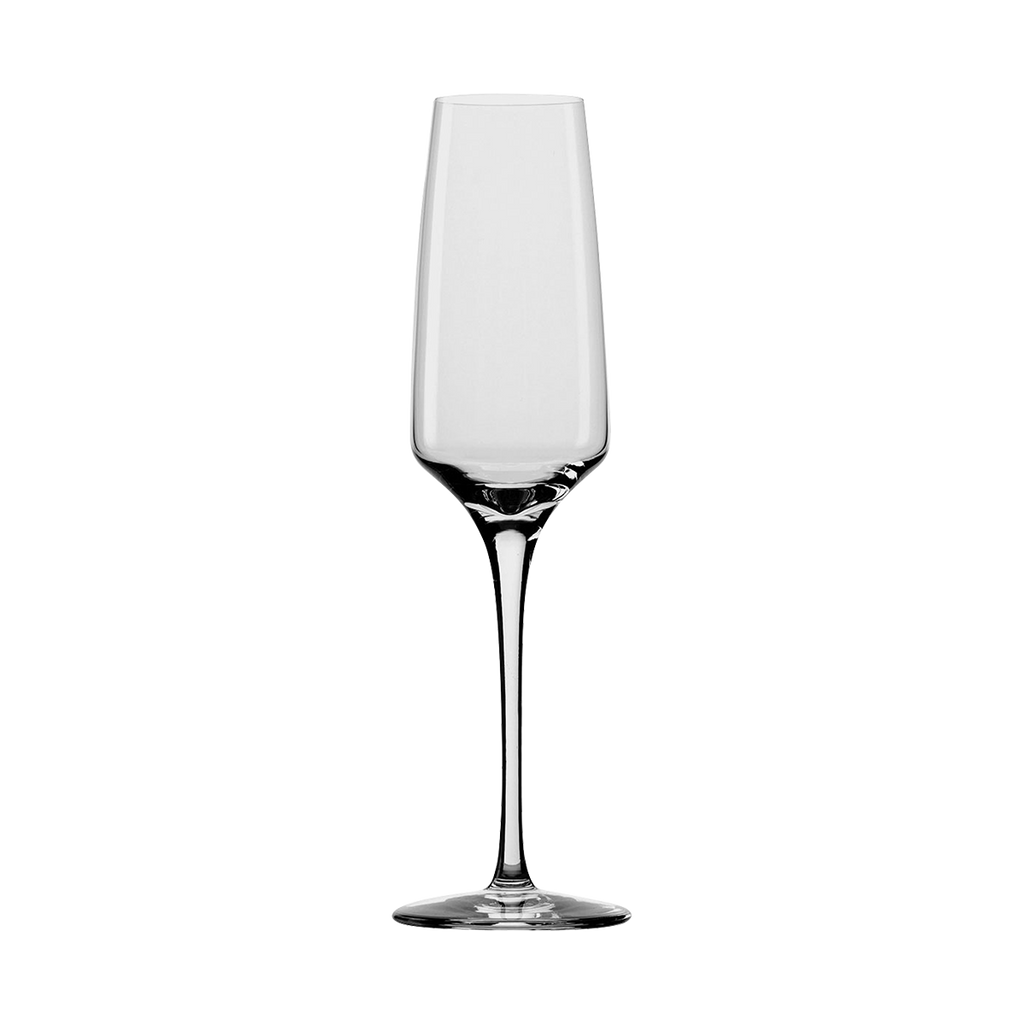 MUSE Champagne flute 19 cl