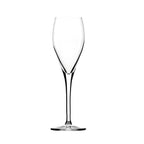 ANYTIME Champagne flute 15 cl