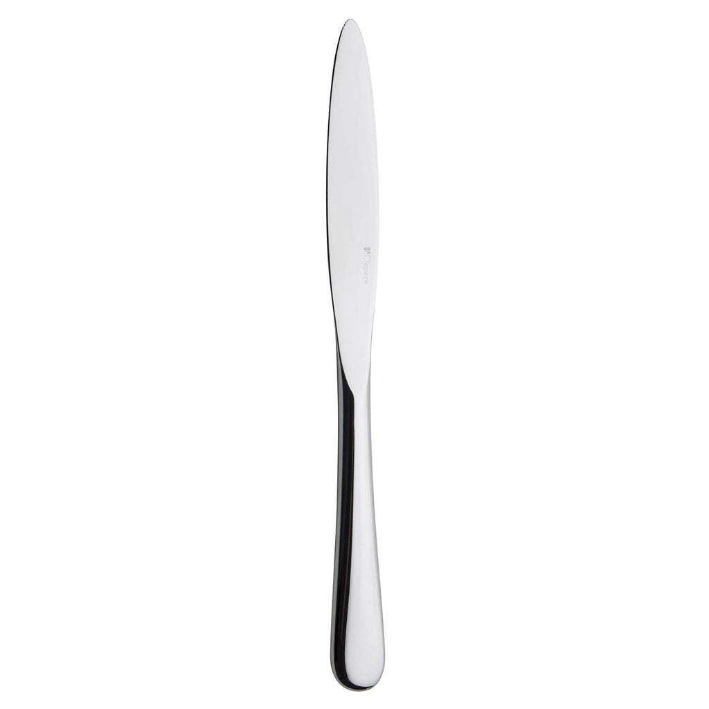 AQUATIC MIRROR FINISH Table knife, 1 pc solid handle, serrated