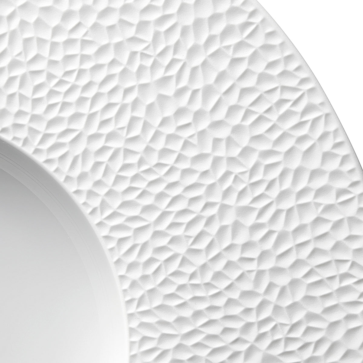 COLLECTION L FRAGMENT WHITE Large bowl gourmet plate 30 cm