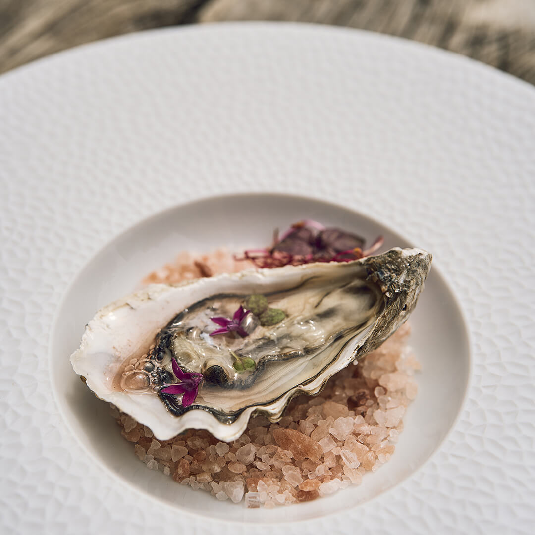 COLLECTION L FRAGMENT WHITE Large bowl gourmet plate 30 cm